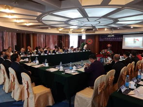 廣東獅子會D381區 會展與活動服務的專業化實踐